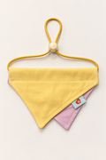 Yellow & Purple