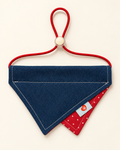 Denim & Red Dots